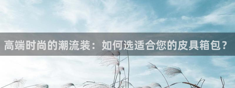 必一体育下载一样吗