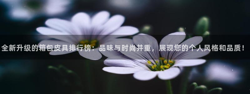 必一体育登录入口