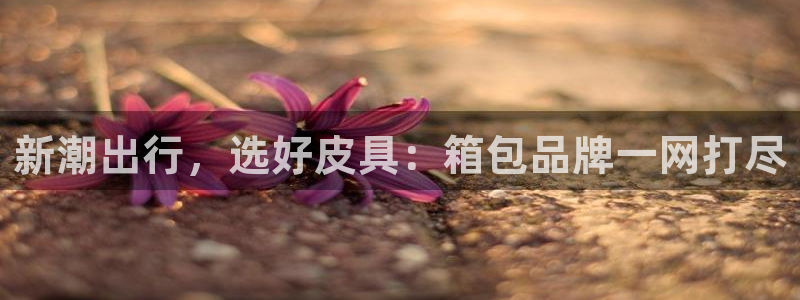 必一体育官方入口