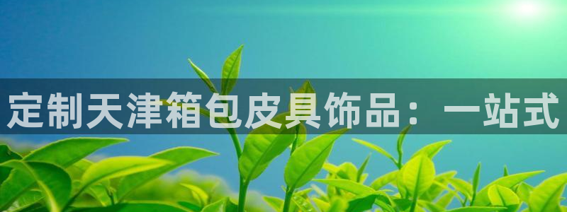 必一体育网页版登录