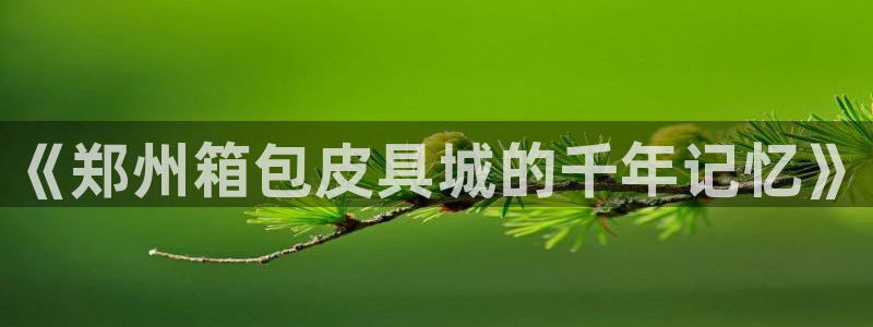 必一运动 b 体育素描版