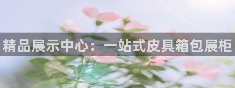 必一体育官方入口