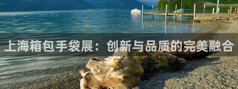 必一体育最新官网入口首页