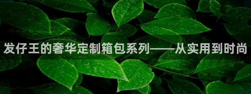 必一体育下载意思