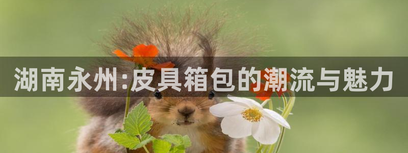 必一体育官方app下载