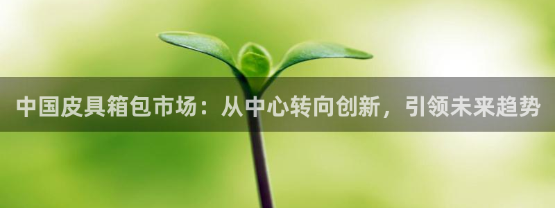 必一体育sport网页版