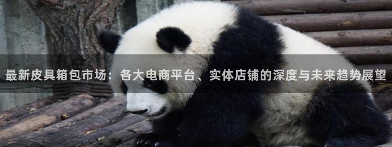 必一体育官方下载入口