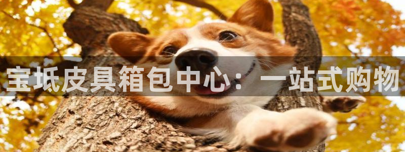 必一运动tieba.baidu.com