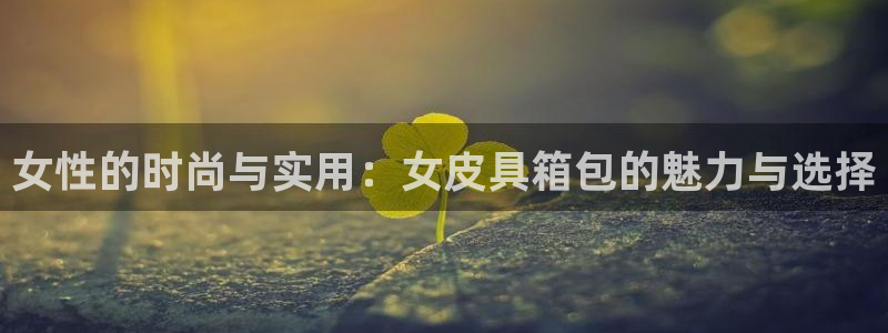 必一体育APP下载安装