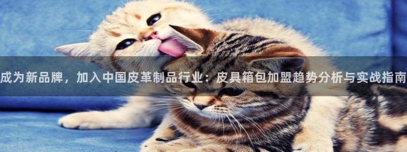 必一运动官网装机吧