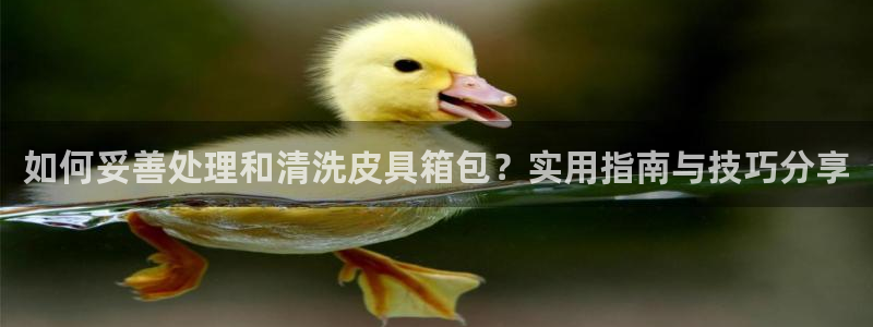 必一运动官网平台