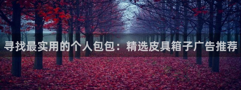 必一运动·(B-Sports)