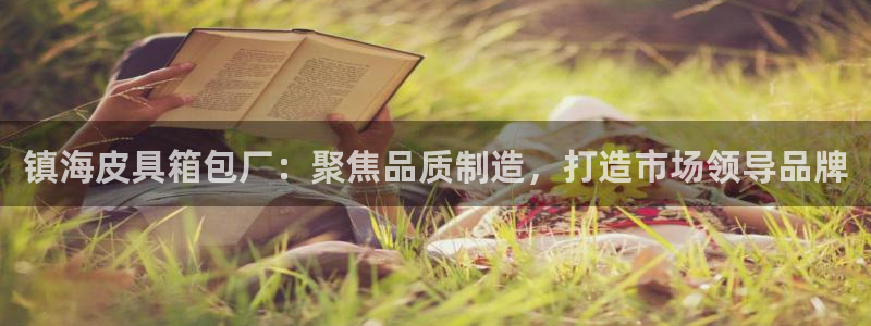 必一体育sportB体育