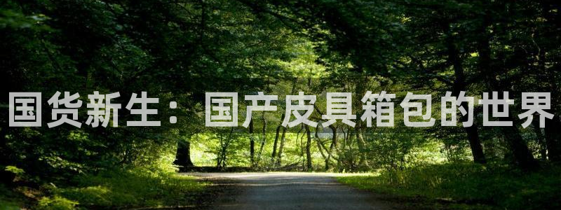 必一运动体