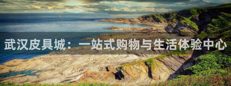 必一体育运动app