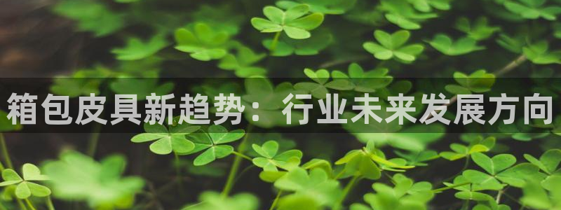 必一体育网页