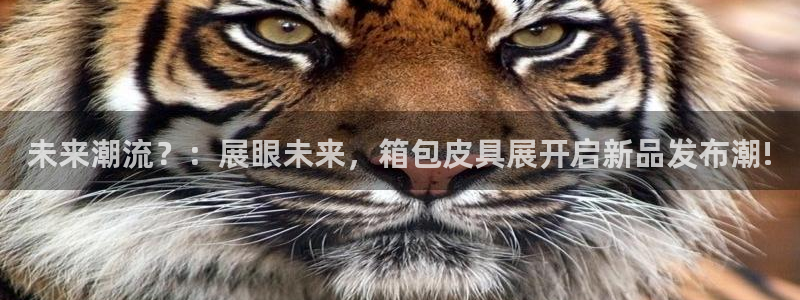 必一体育官方app下载