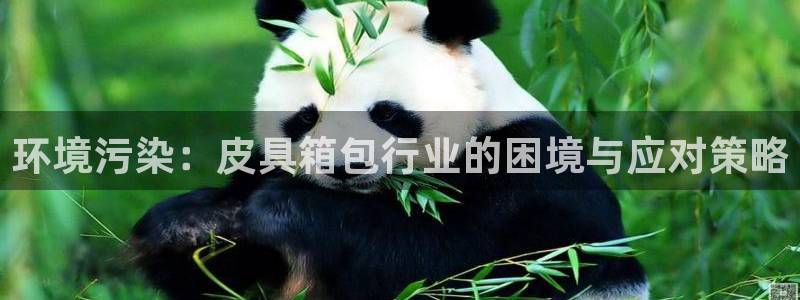 必一体育登入