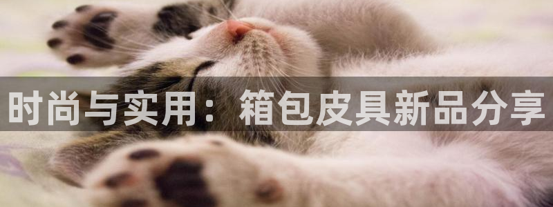 必一运动官网入口
