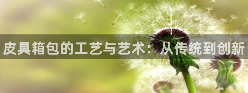 必一体育运动app下载