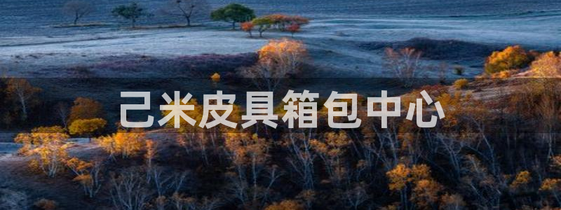 必一体育登录入口APP