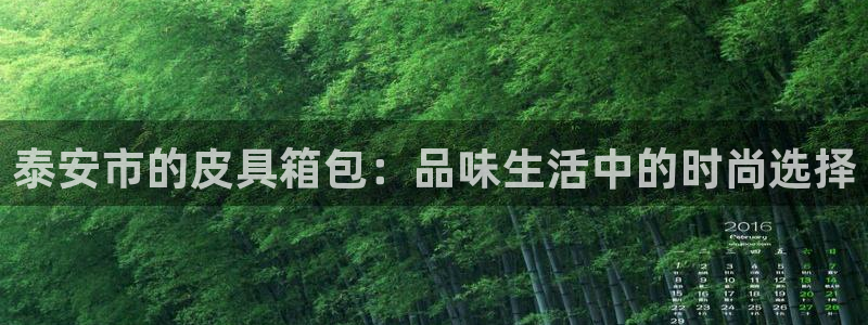 必一体育游戏玩法