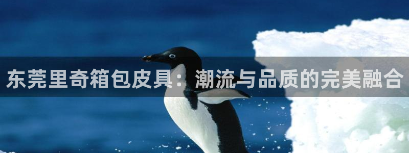 必一运动听的歌