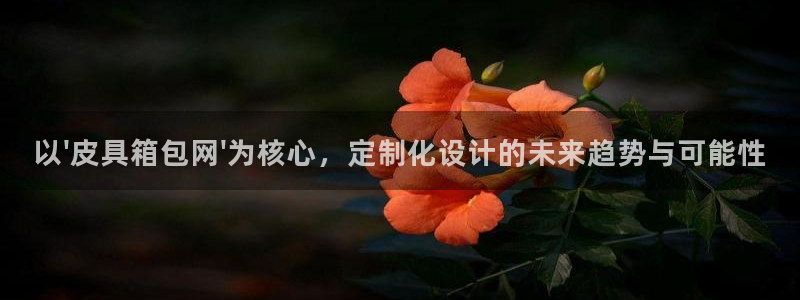 b体育必一下载
