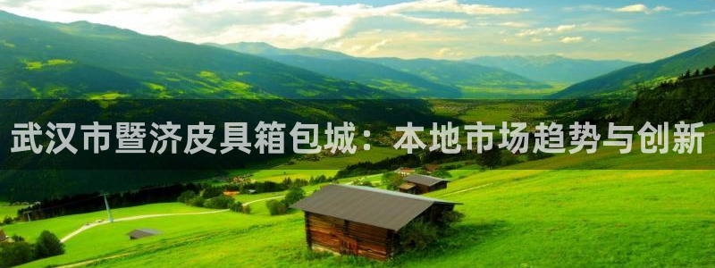 b体育必一运动网页版在线登录入口