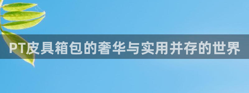 必一体育皮尔斯