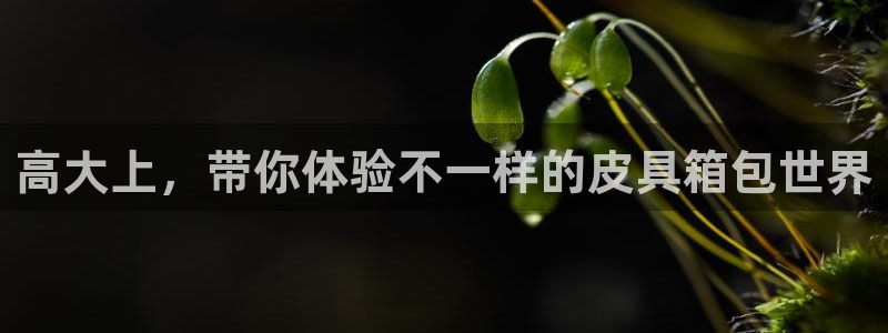 必一运动·(B-Sports)