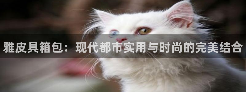 必一运动短信