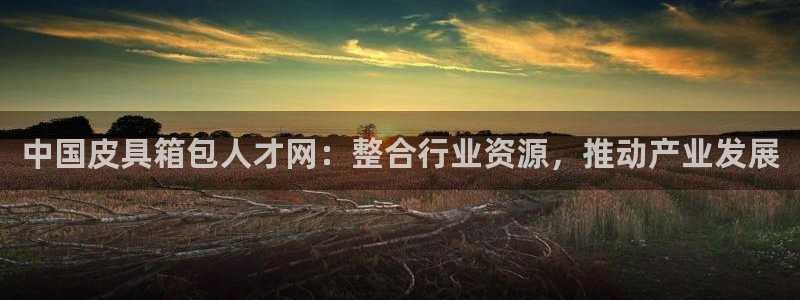 必一体育登录入口